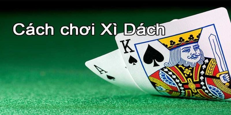 cách chơi xì dách tại nhà cái mu88