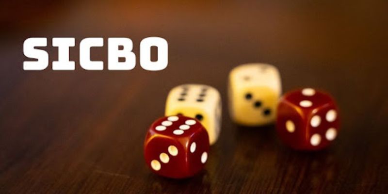 Cơ bản tựa game Sicbo đỉnh cấp